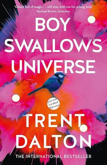 BOY SWALLOWS UNIVERSE BY TRENT DALTON (GRADE - B)