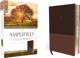 THE AMPLIFIED STUDY BIBLE BY ZONDERVAN (GRADE -C)
