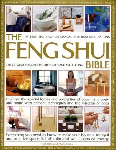 THE FENGSHUI BIBLE BY GILL HALE AND MARK EVANS (GRADE - C)