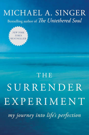 THE SURRENDER EXPERIMENT BY MICHAEL A. SINGER (GRADE - C)