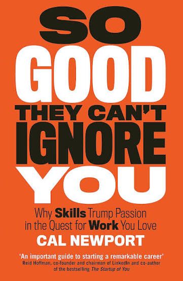 SO GOOD THEY CANT IGNORE YOU BY CAL NEWPORT (GRADE - B)