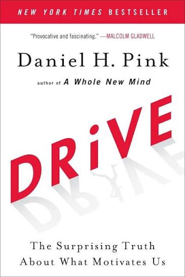 Drive by Daniel H. Pink (GRADE-B)