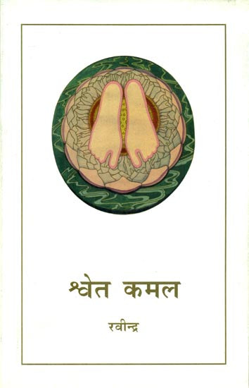 Shwet Kamal by Ravindra.(GRADE-A)