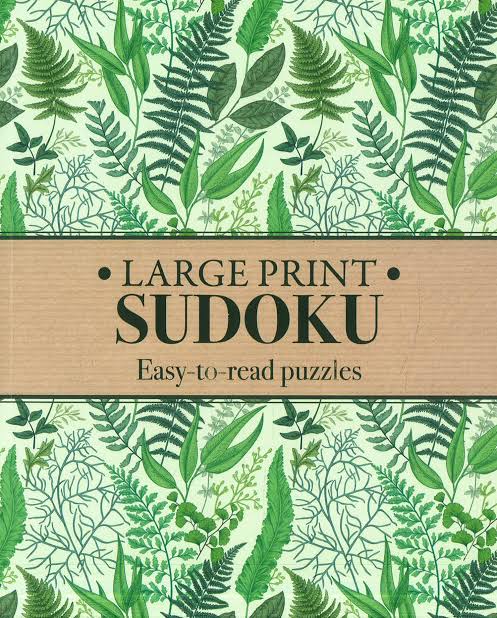 Large Print Sudoku