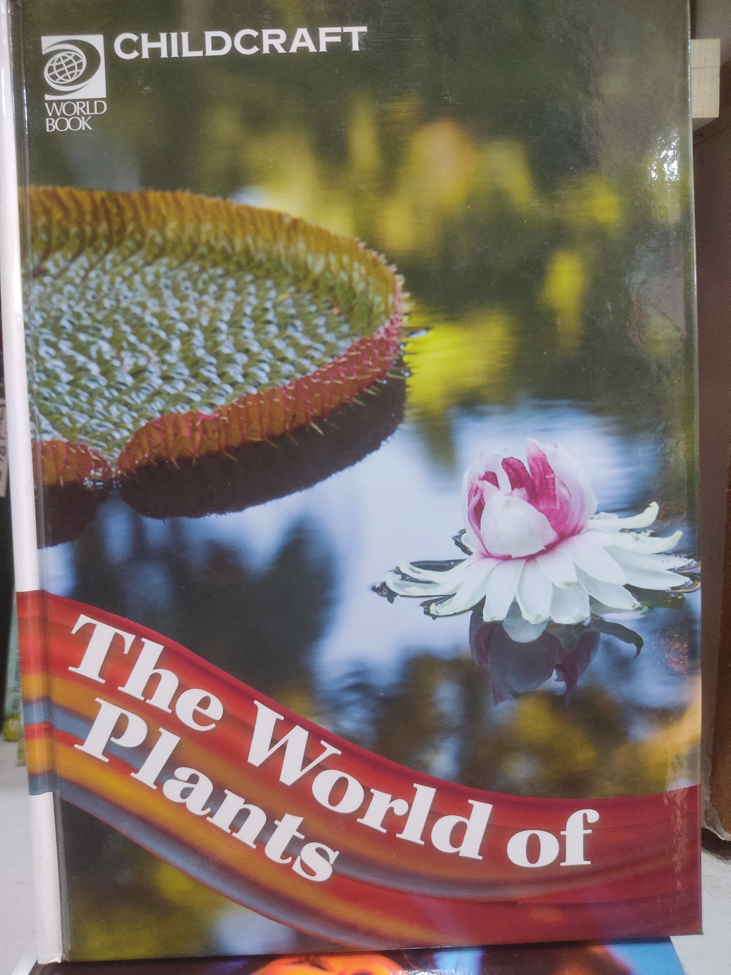 The world of plants