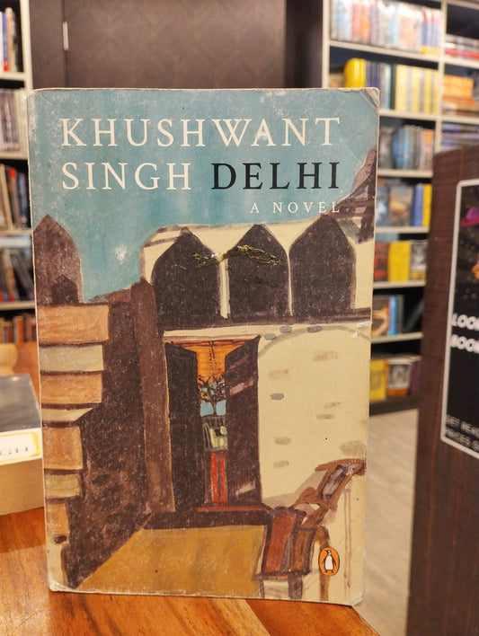 Delhi - A Novel (preloved)