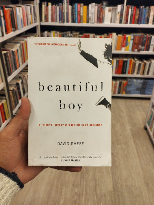 Beautiful Boy: A Father's Journey Through His Son's Addiction