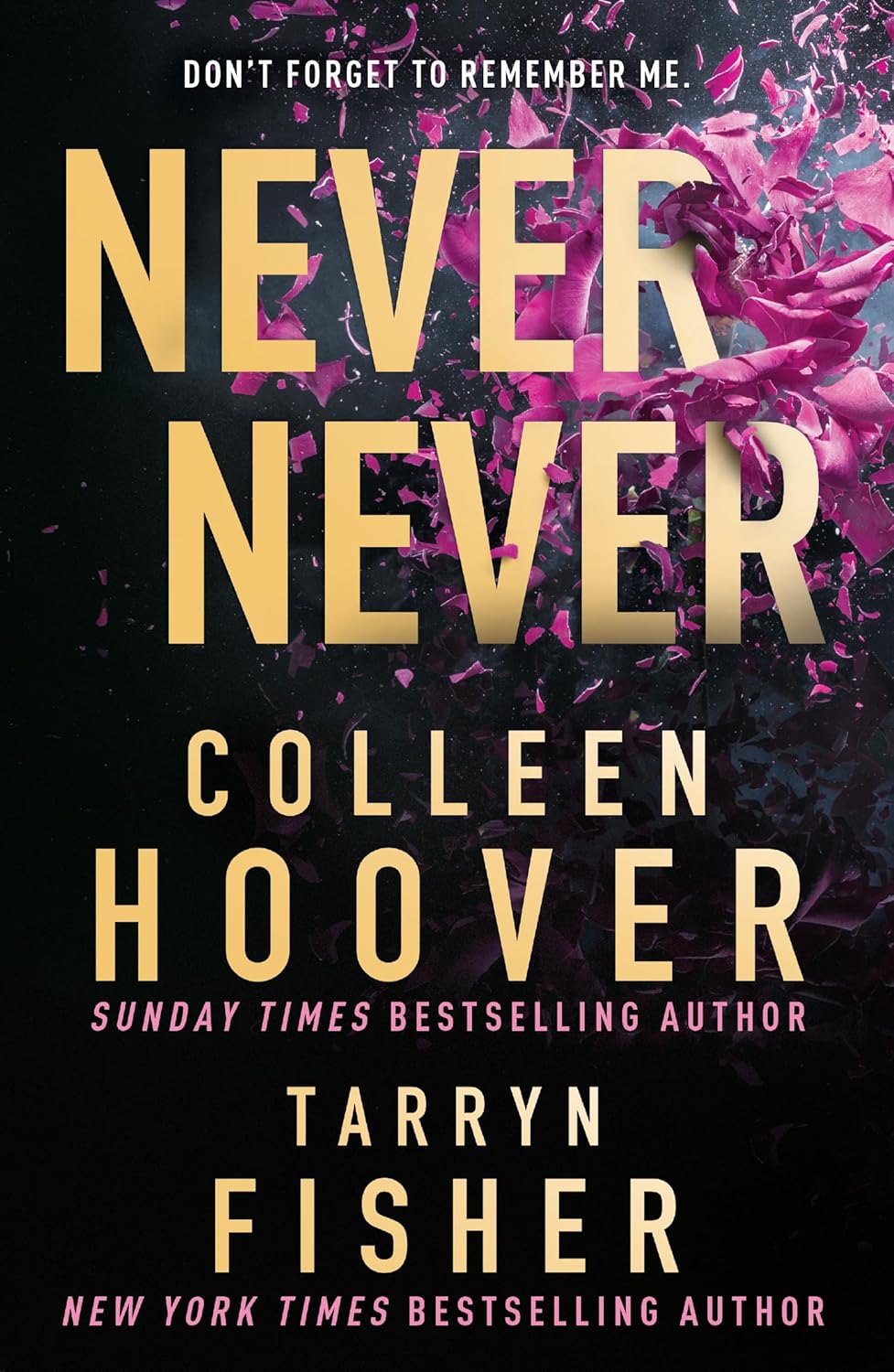 Never Never: The heartbreaking romantic thriller from the bestselling authors of It Ends With Us and The Wives Paperback