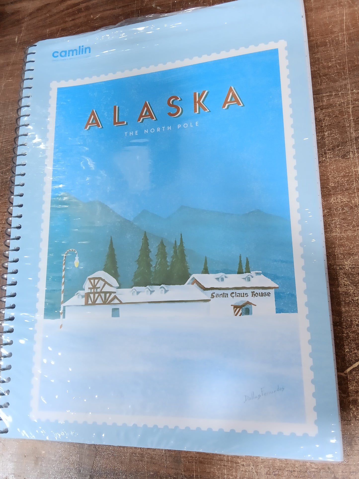 CAMLIN NOTEBOOK 180PAGES 100/-