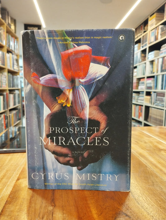 The Prospect of Miracles: A Novel