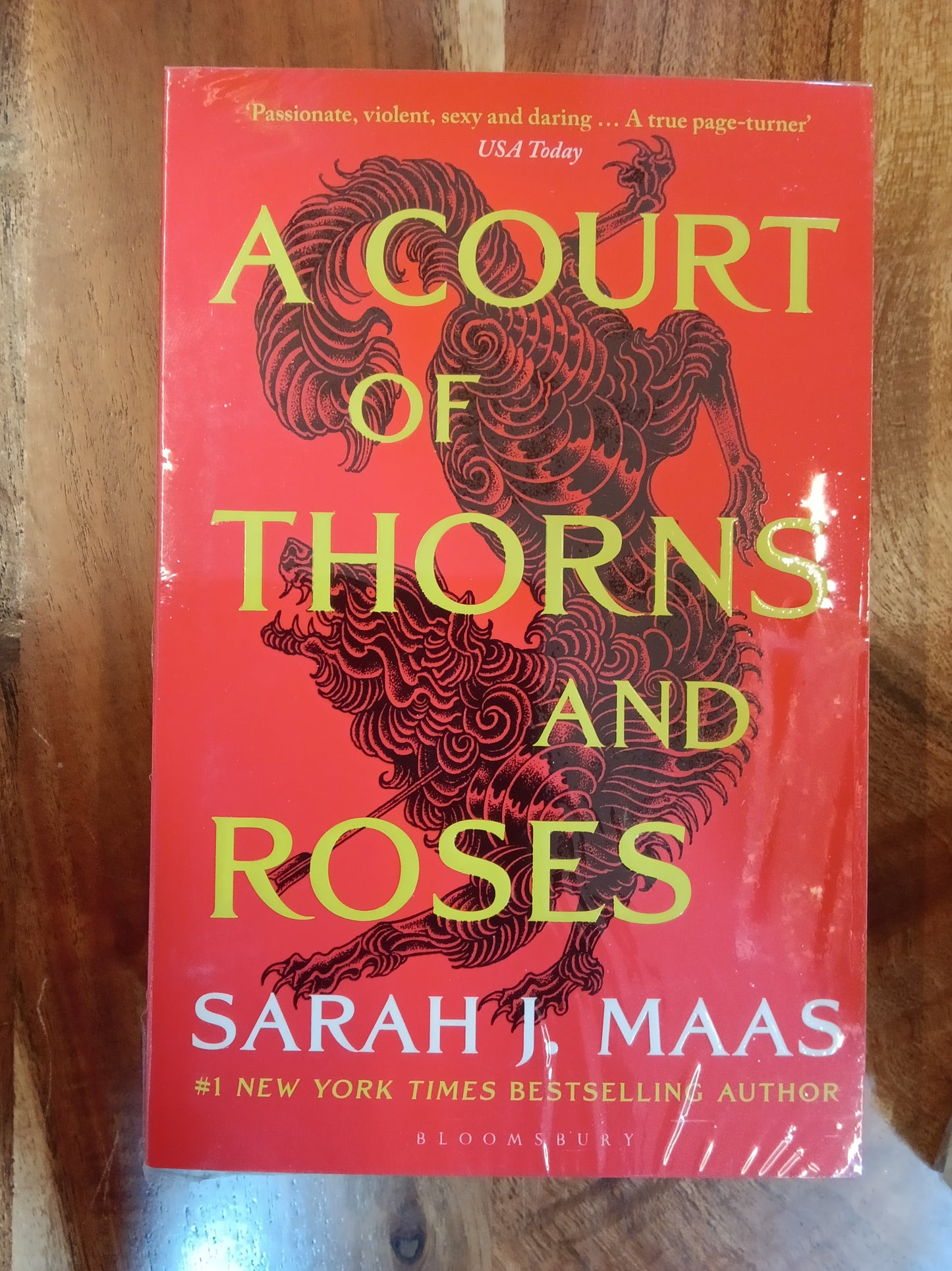 Sarah J. Maas
A Court of Thorns and Roses Paperback