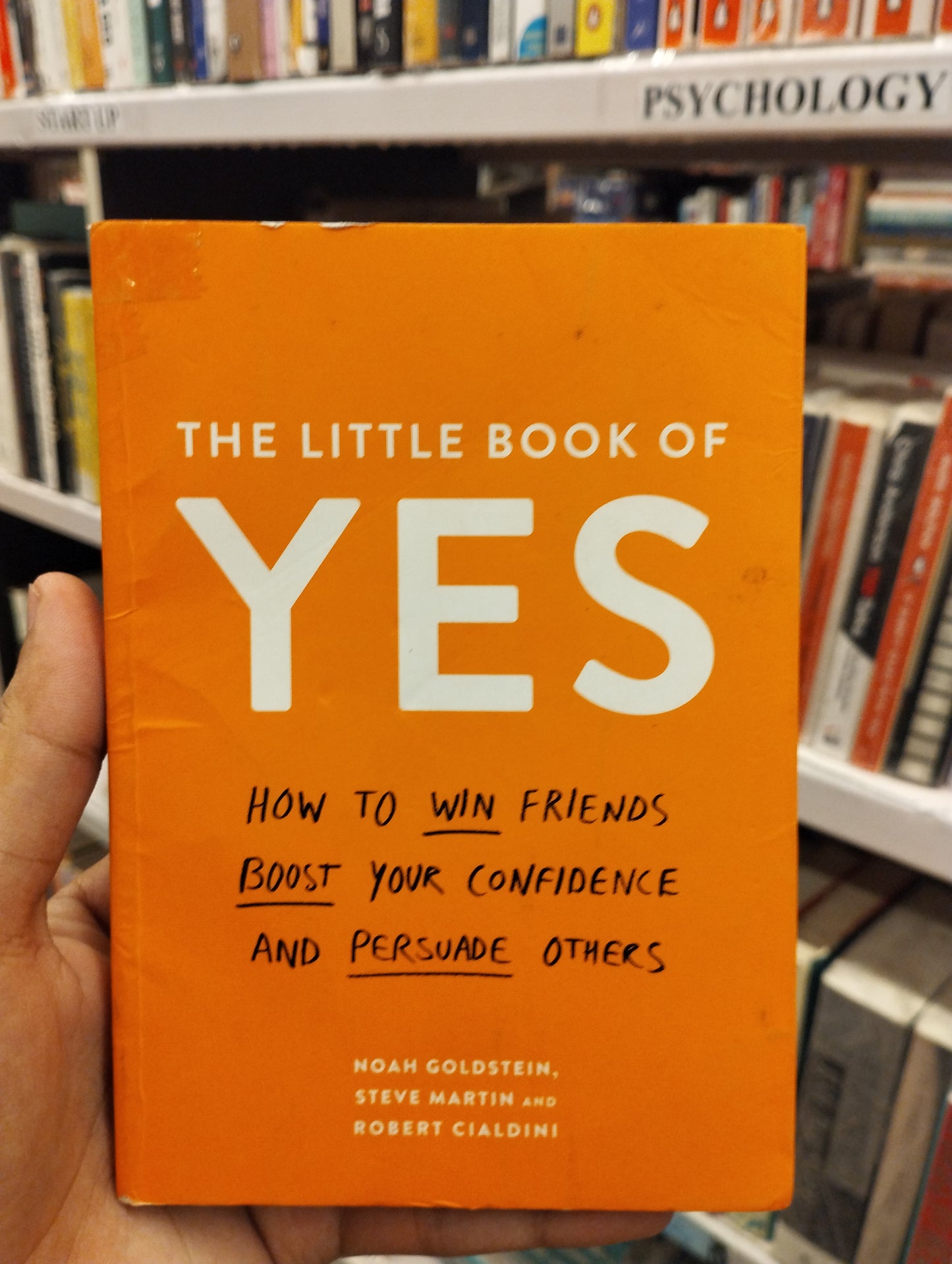 THE LITTLE BOOK OF YES