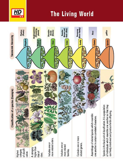 MTG Objective NCERT at your FINGERTIPS Biology For 2025-2026 Exam - NCERT NEET Trend Indicator, HOTS MCQs, Rank Predictor & Notes with HD Pages | NEET Books (Based on NCERT Latest Pattern)